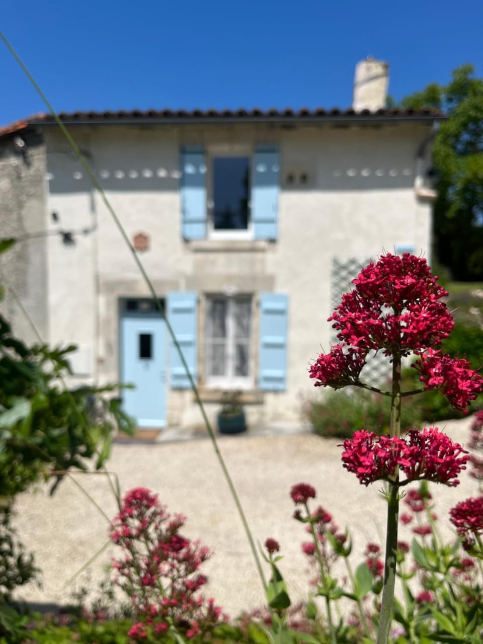 La Colline de Tilleul - Les Tilleuls - 4 STAR RATED - stunning cottage with pool near Aubeterre in idyllic location House in Nouvelle-Aquitaine