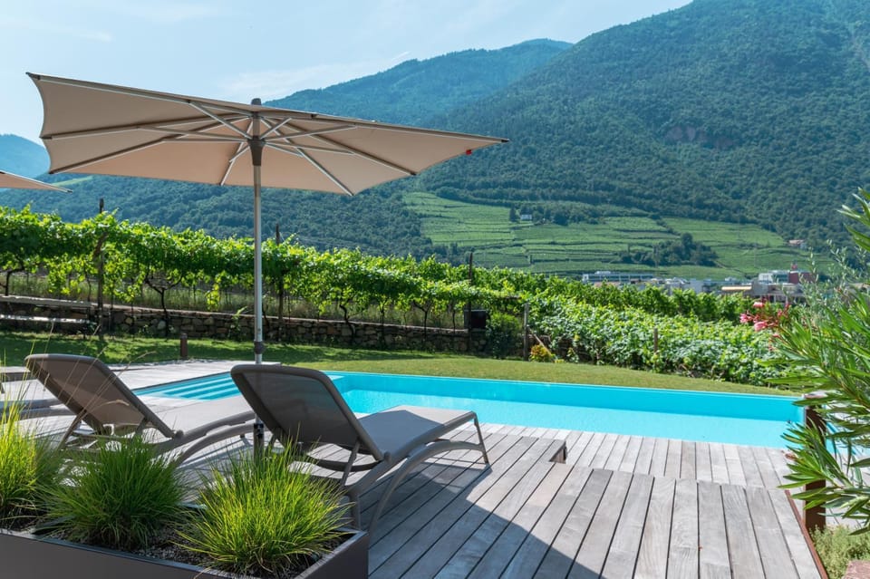 Garden, Swimming pool, sunbed