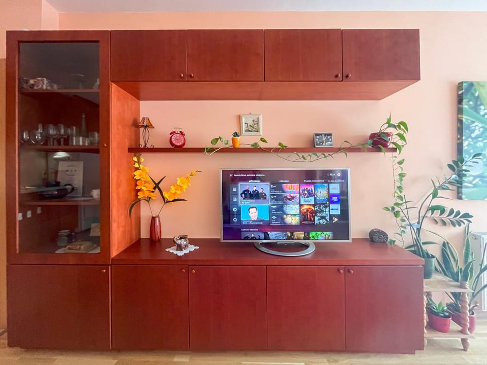 TV and multimedia