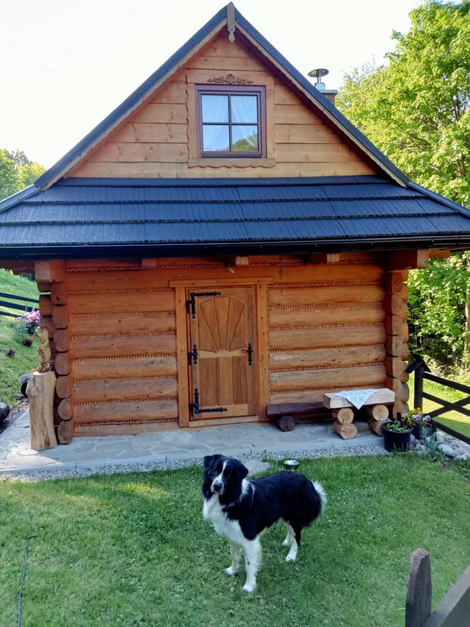 Property building, Day, Pets