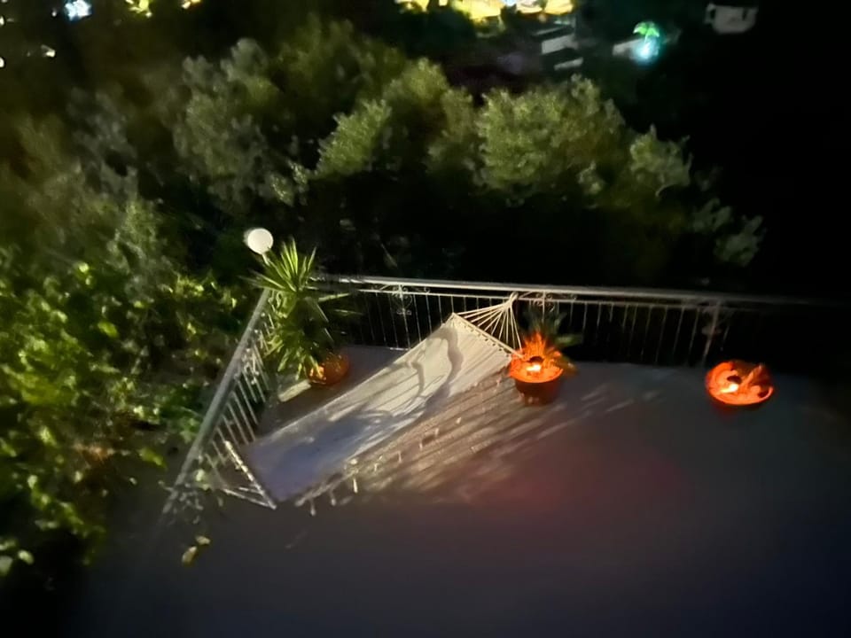 Night, Garden, Garden view