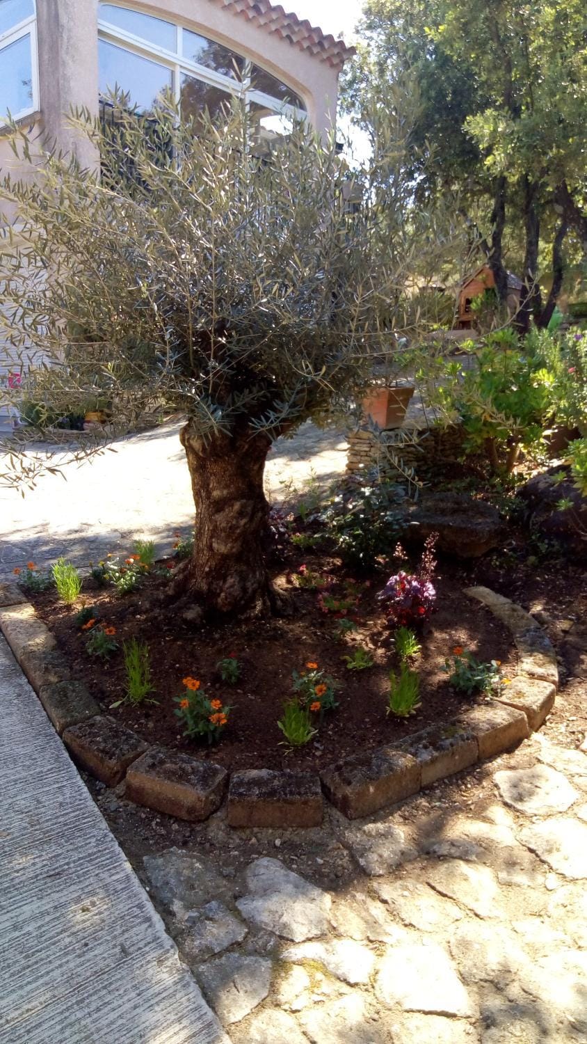Garden, Garden view