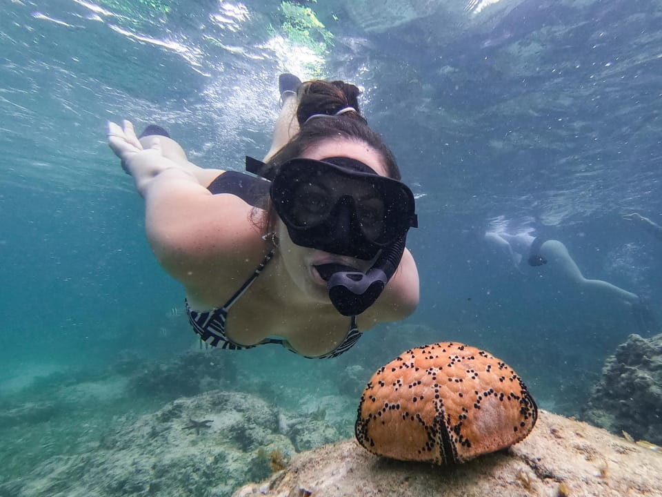 Diving