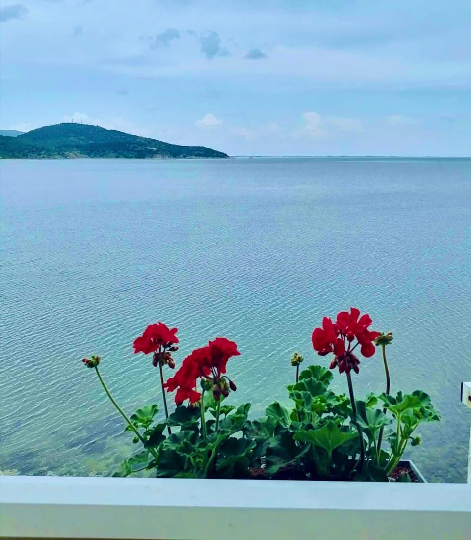 Votsalo Apartment House in Kavala