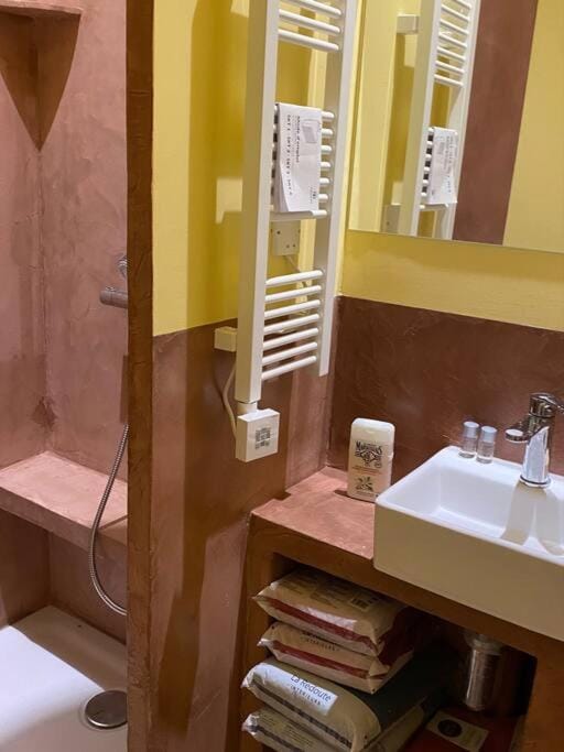 La Craquante House in Arles