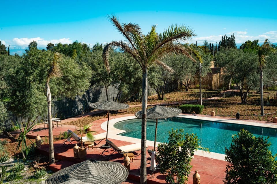 Natural landscape, Garden, Garden, Garden view, Pool view