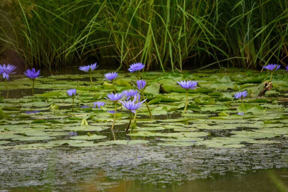 Natural landscape