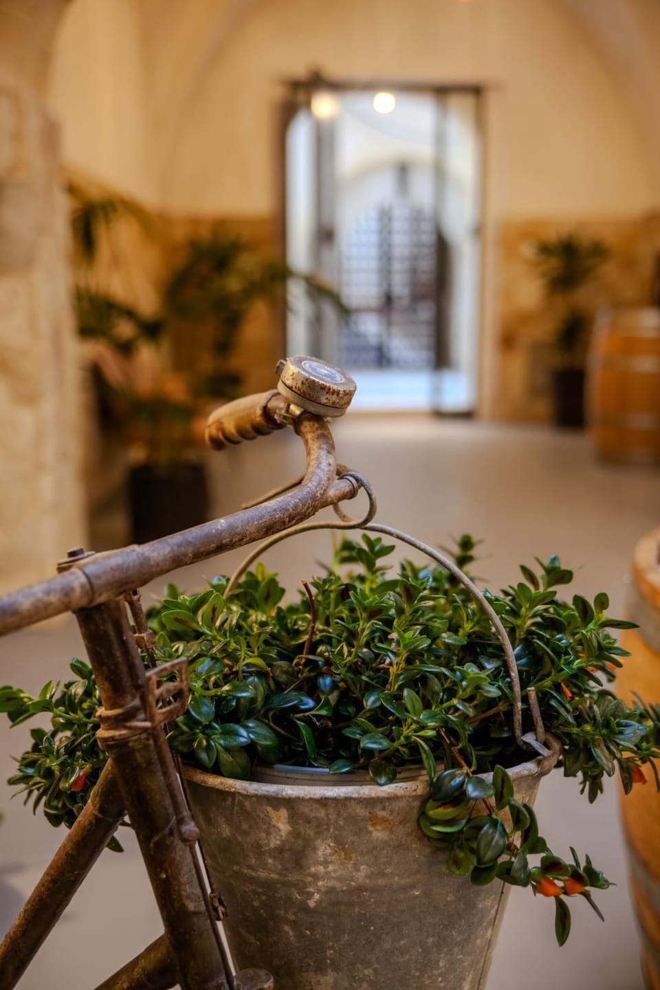 Inner courtyard view
