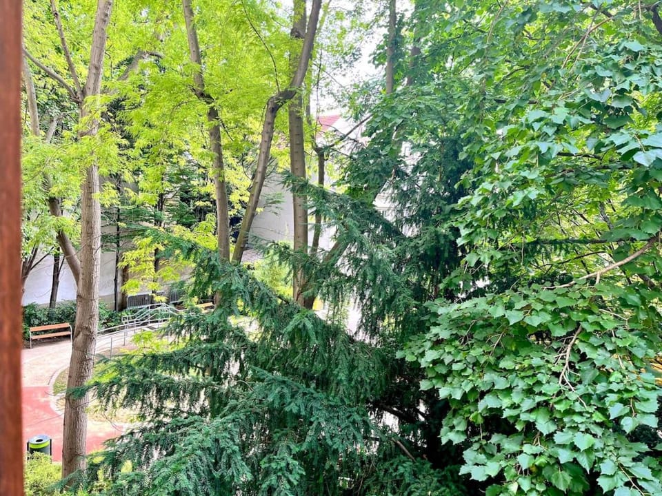 Garden, Garden view