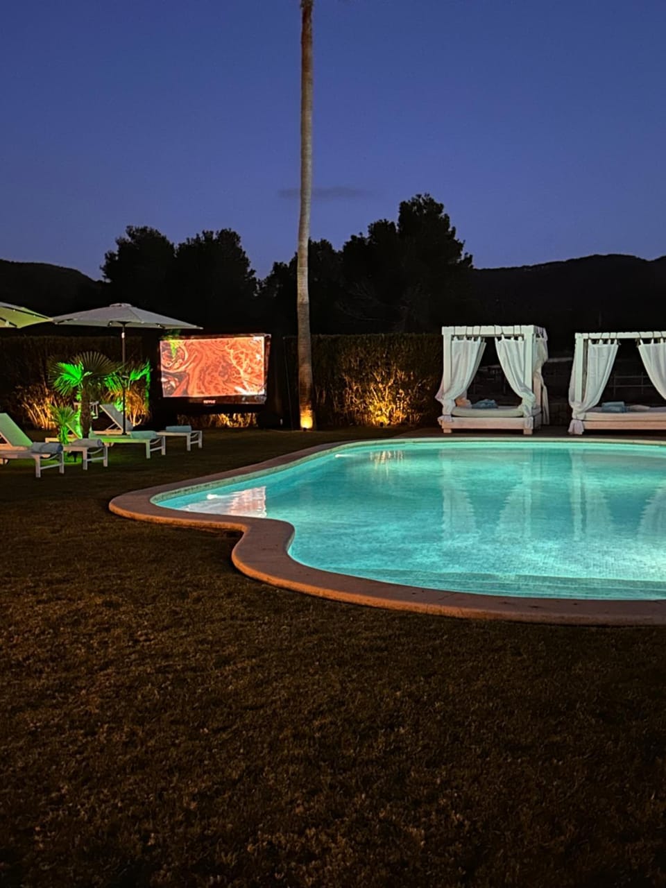 Night, Garden, Pool view, Swimming pool