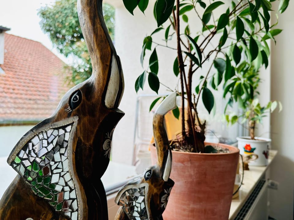 Garden, View (from property/room), Balcony/Terrace, Living room, Garden view