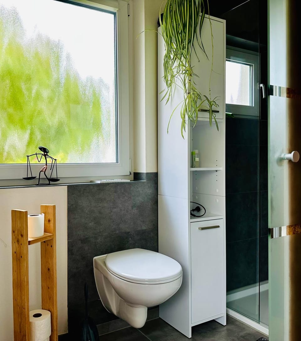 Toilet, Bathroom