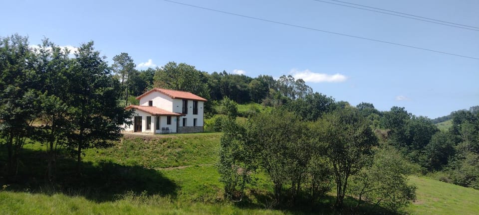 Property building, Garden, Garden view