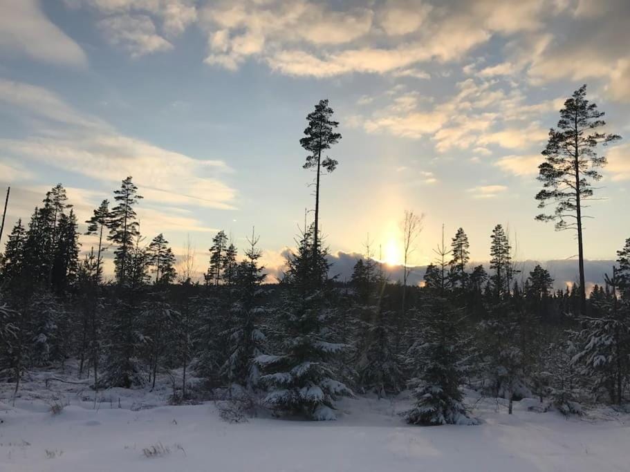 Natural landscape, Winter, Sunset