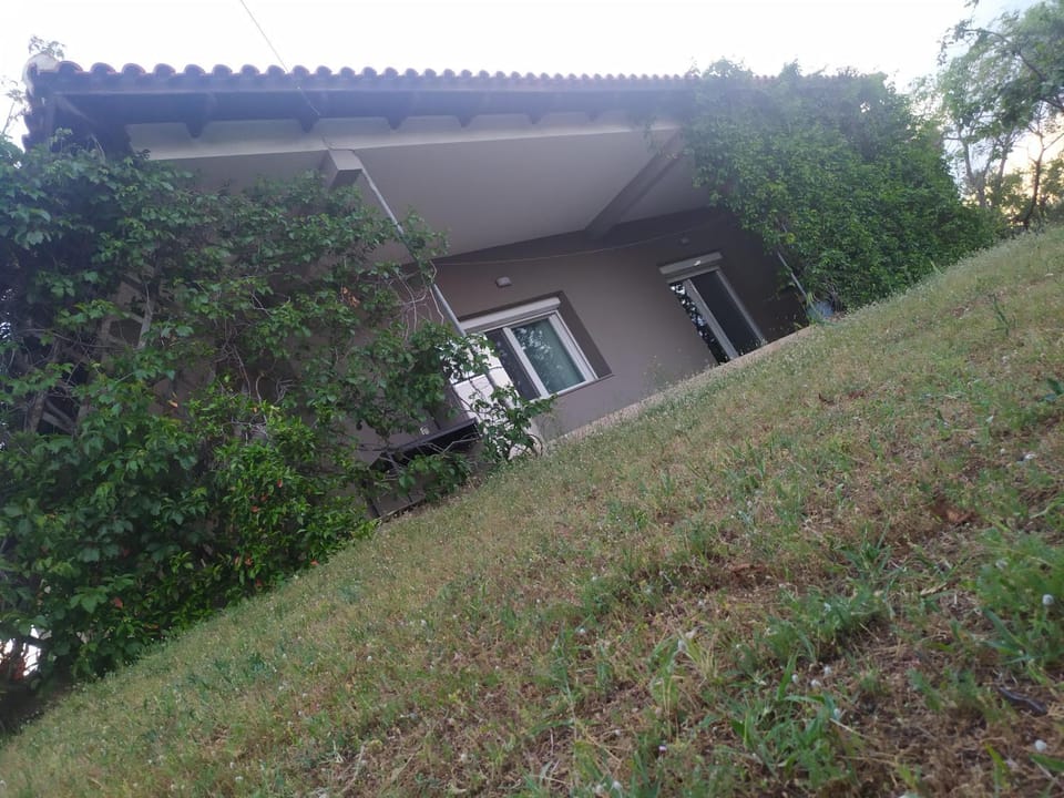 Property building, Spring