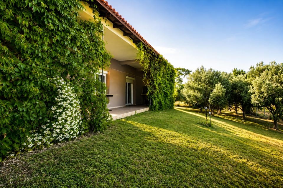 Property building, Balcony/Terrace