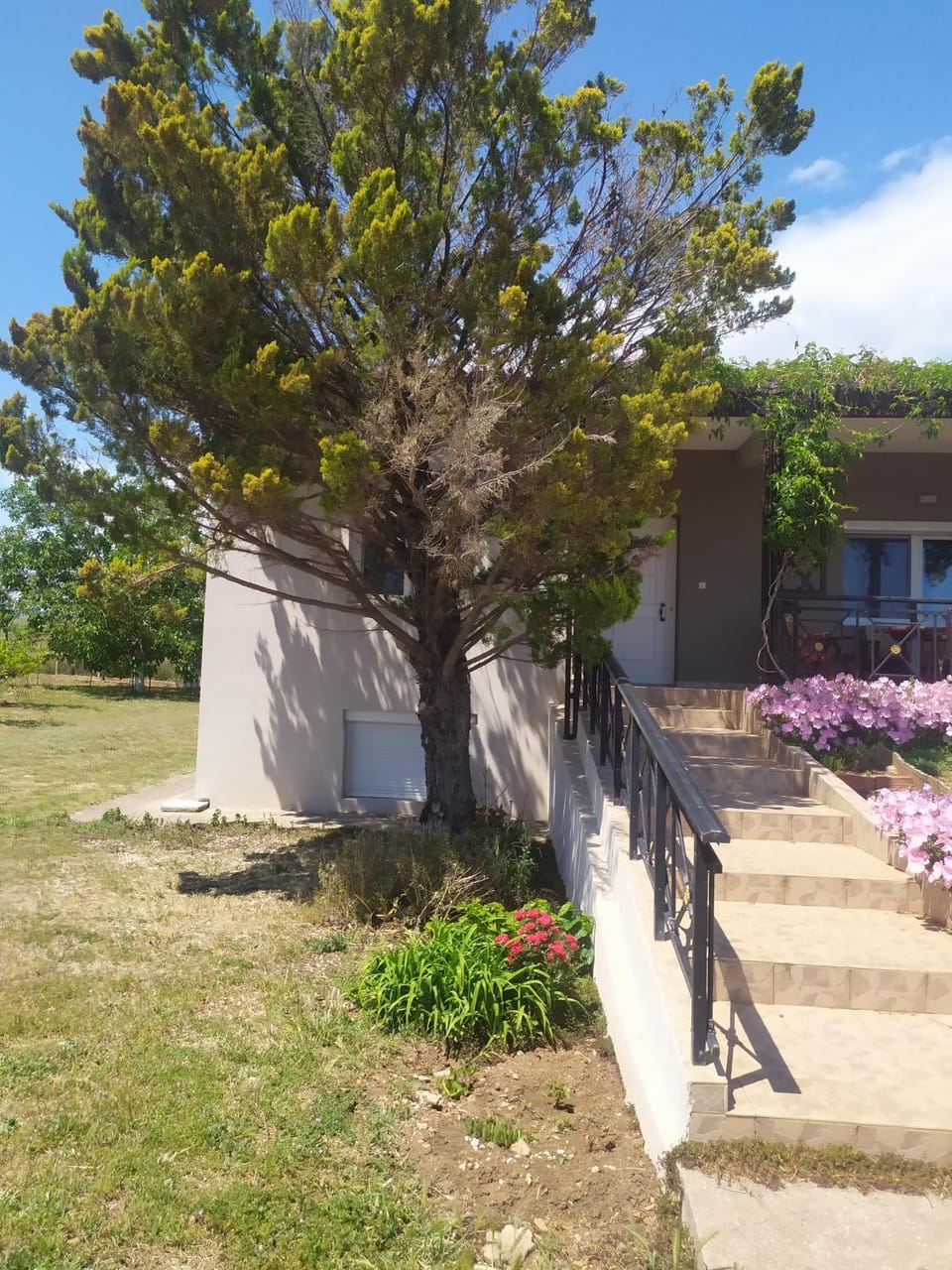 Property building, Spring