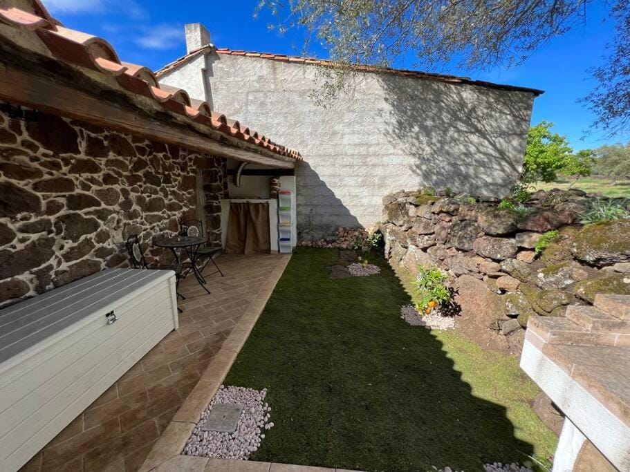 Spring, Garden, Garden view