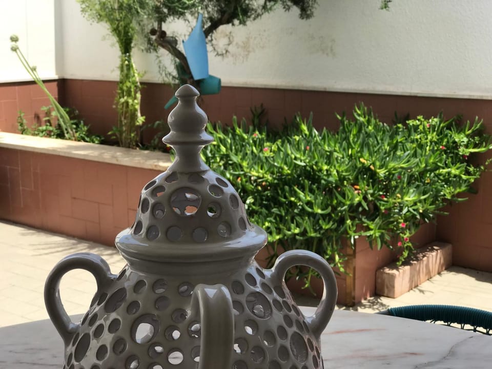 Garden, Garden