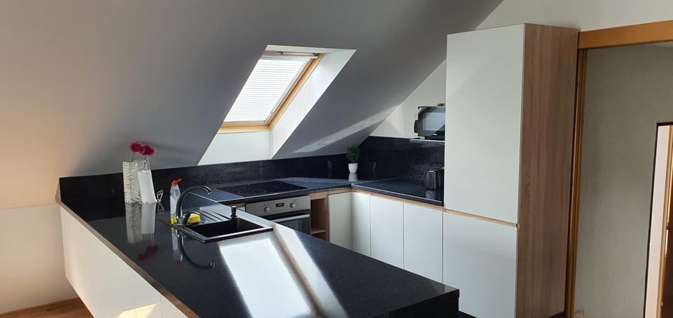 minibar, pet friendly, stove, kitchen