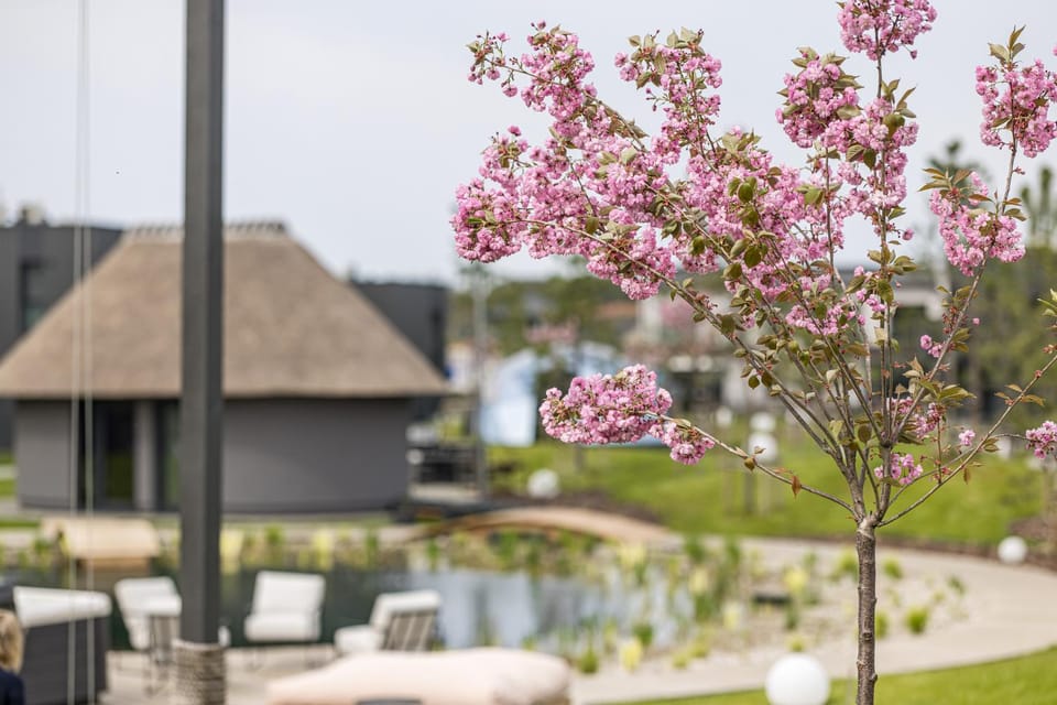 Day, Natural landscape, Garden, Garden view