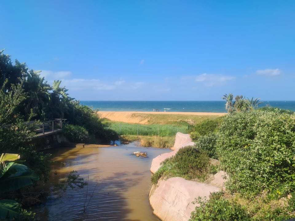 Zimbali Suite 316 Apartment in Dolphin Coast