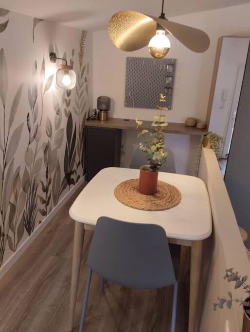 Les salenques Apartment in Toulouse