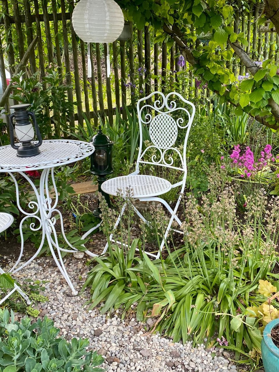 Garden view