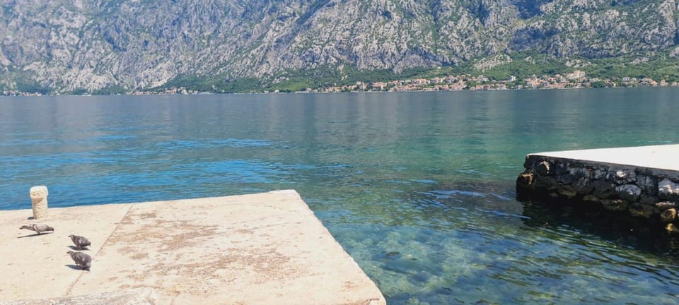 Apartman Katarina Apartment in Kotor Municipality