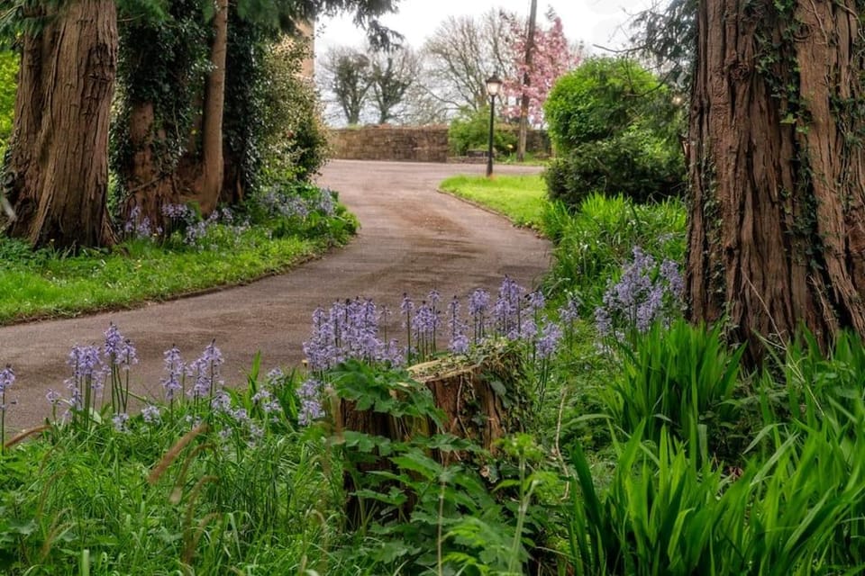 Maryfields Farmhouse House in County Kerry