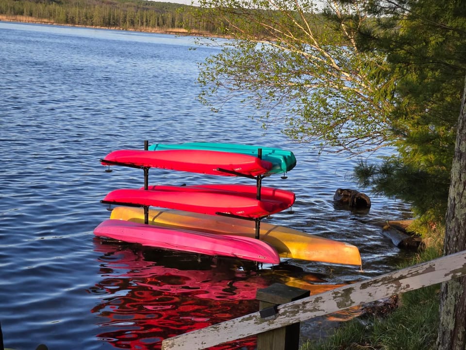 Lake Access! Twin Birch Resort - Kodiak Cabin Cabin in Lake Township