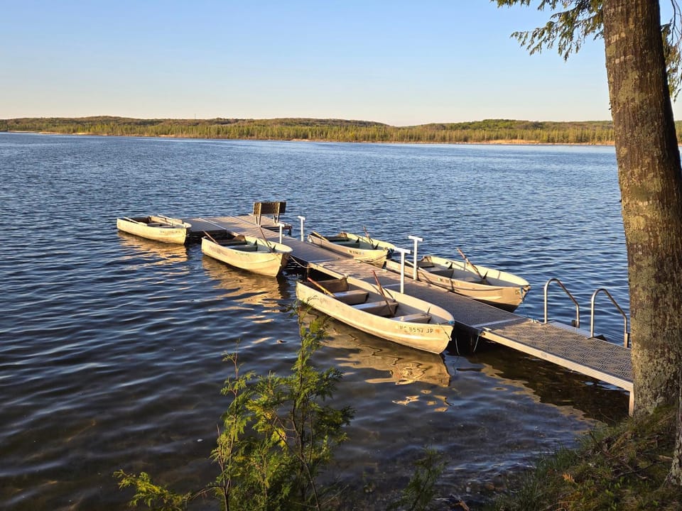 Lake Access! Twin Birch Resort - Kodiak Cabin Cabin in Lake Township