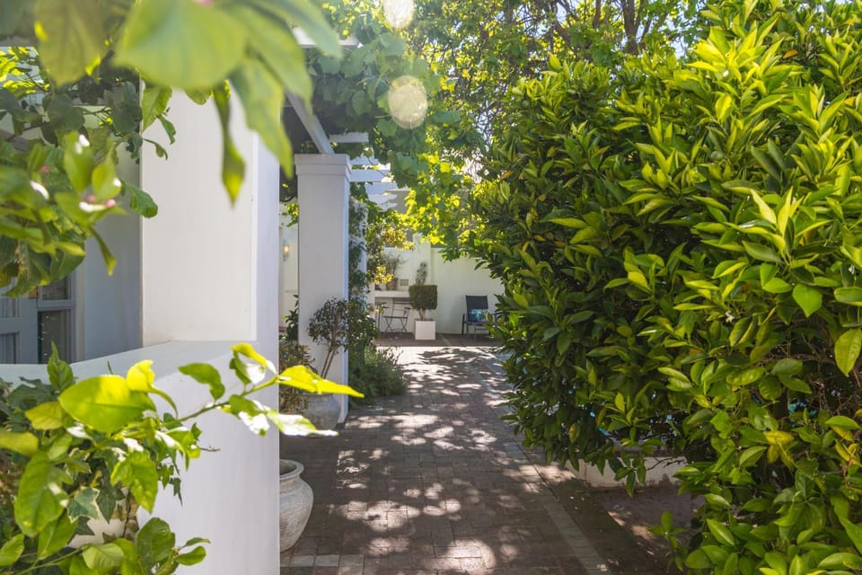 Garden, Balcony/Terrace