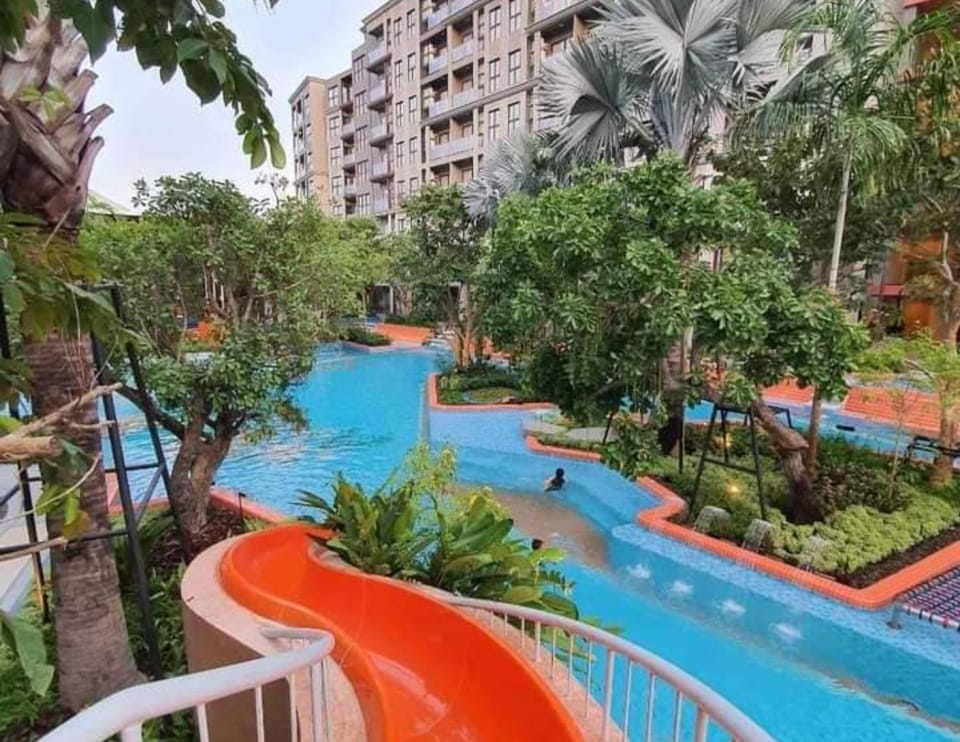 Property building, Day, Natural landscape, Garden, Garden view, Pool view, Swimming pool