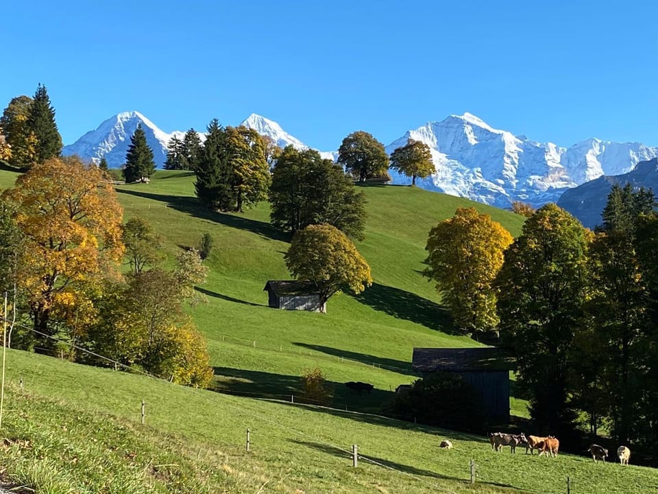 Natural landscape