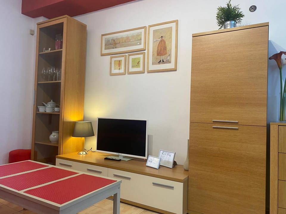 TV and multimedia