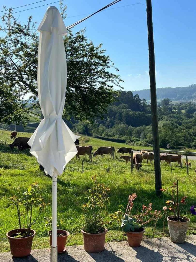 Casa Rural La Pereda Chalet in Cantabria