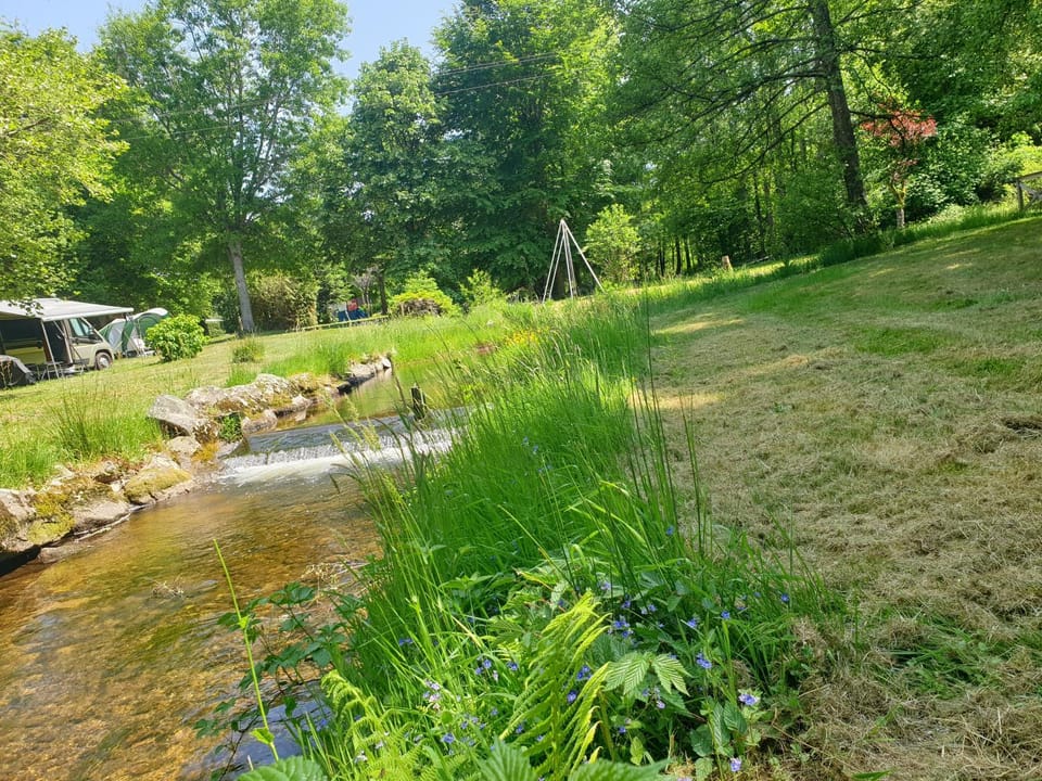 Spring, Natural landscape