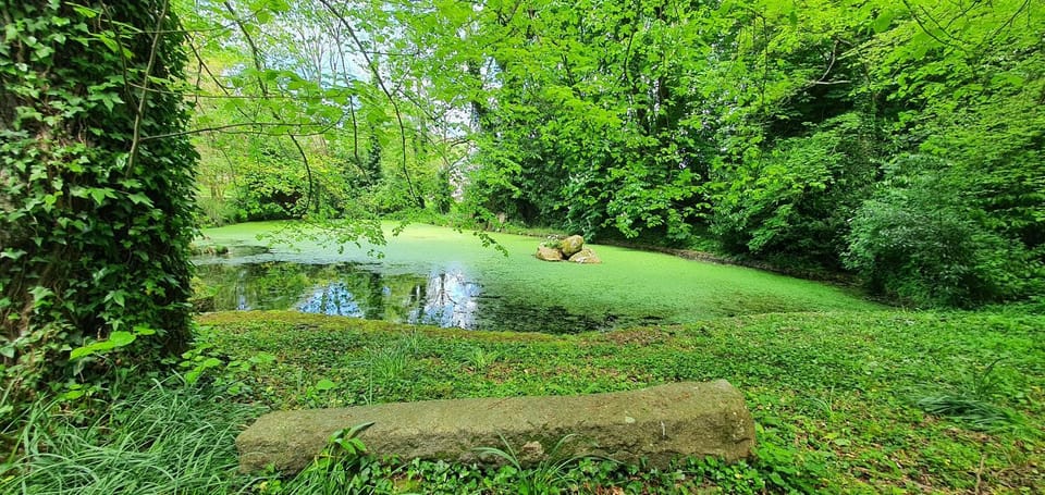 Manoir de Saint Ouen Bed and Breakfast in Normandy