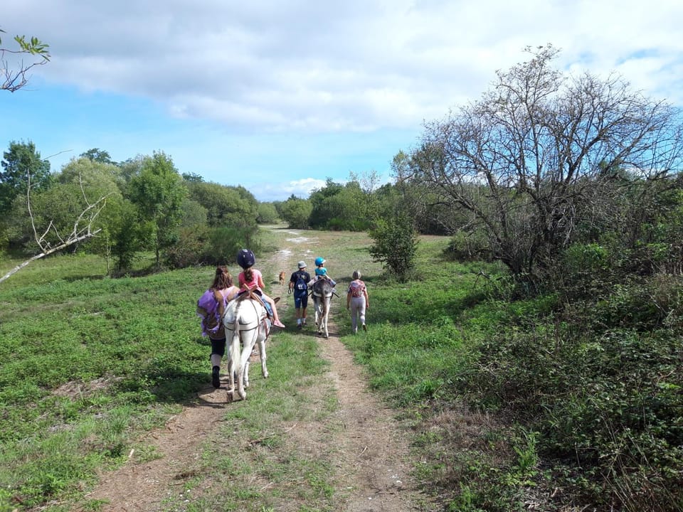 Horse-riding