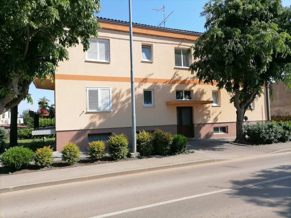 Bolf Apartment in Novigrad