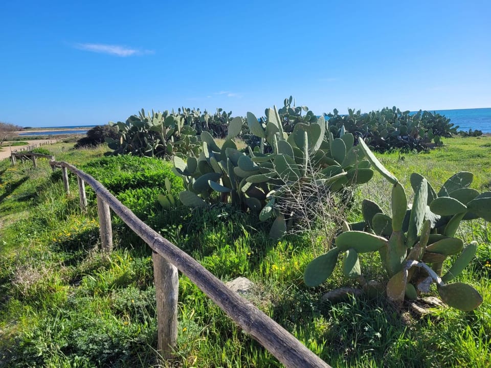 Natural landscape