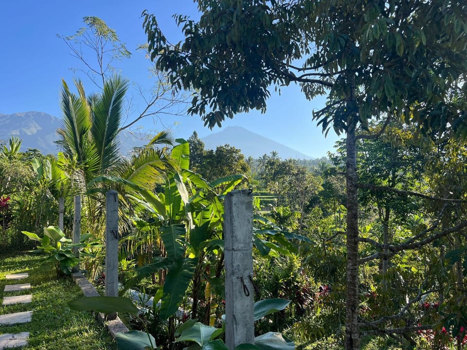 Tetebatu Fullmoon Bed and Breakfast in West Nusa Tenggara, Indonesia