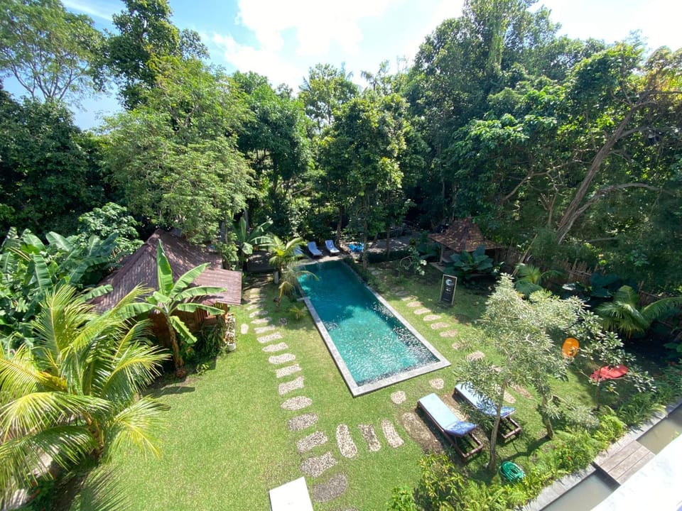 Natural landscape, Garden, Garden, Garden view, Pool view, Swimming pool, Swimming pool, sunbed