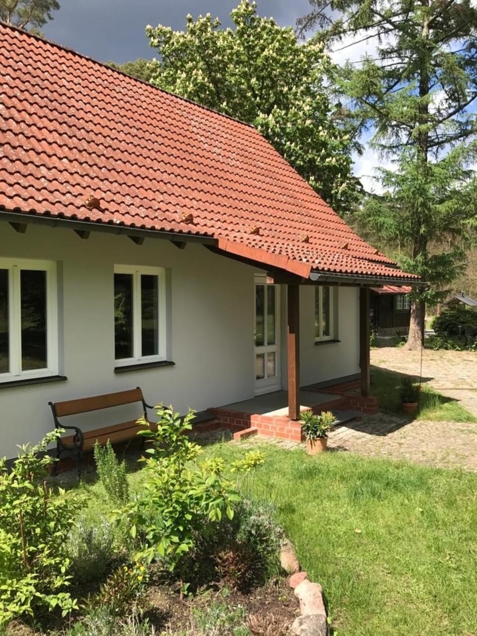 Waldoase 1 House in Rheinsberg