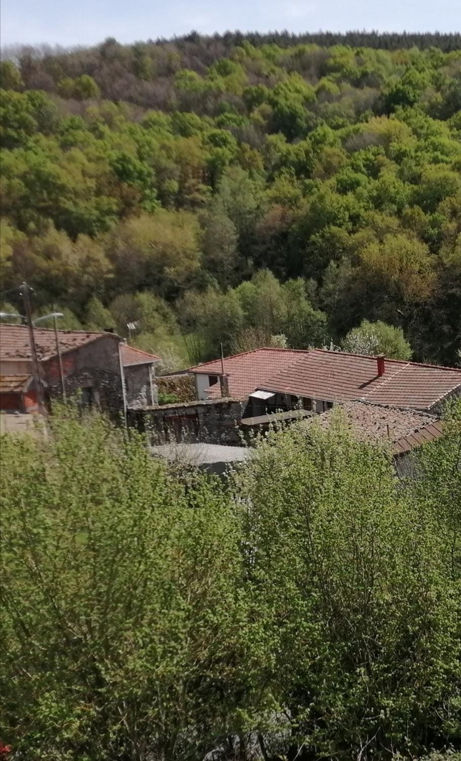 Natural landscape
