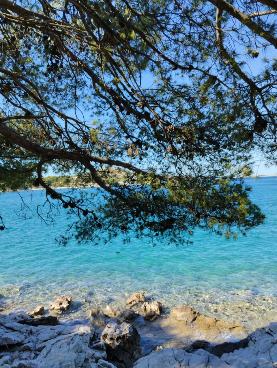 Sea view