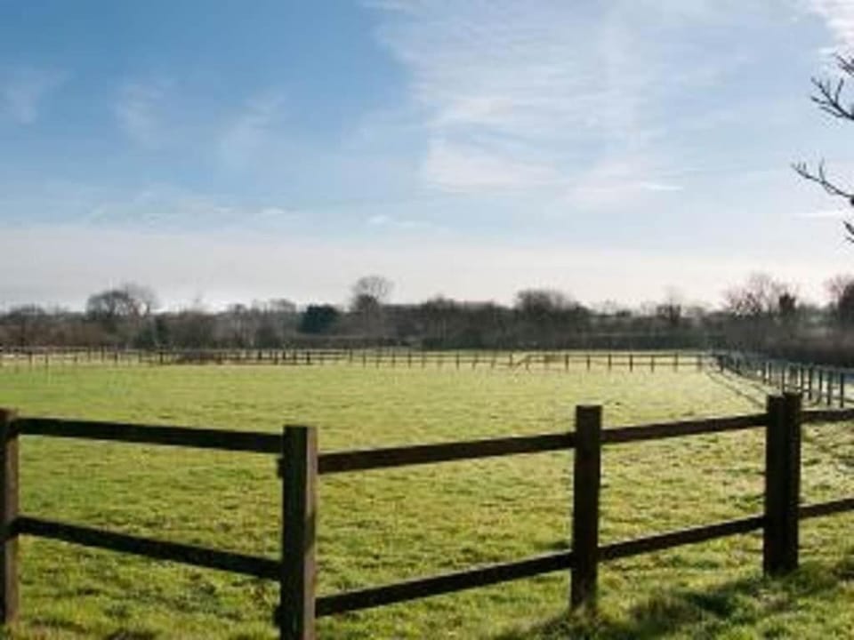 Owls Nest - Peace and Tranquility near Woodbridge & Framlingham in rural Suffolk Apartment in Babergh District