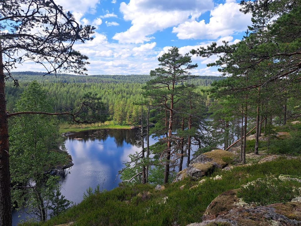 Guesthouse Nature Trails Sweden House in Sweden