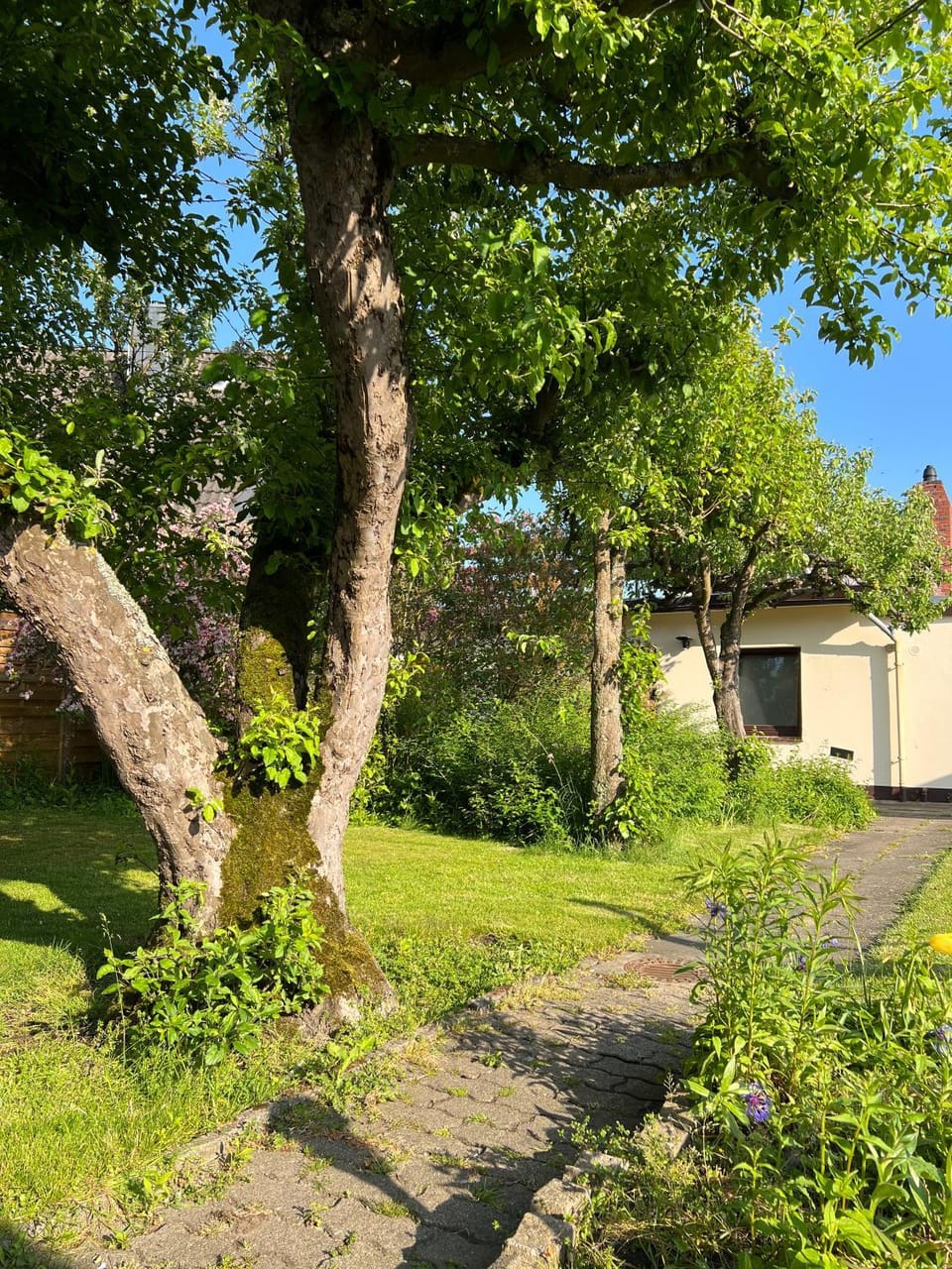 Garden, Garden view